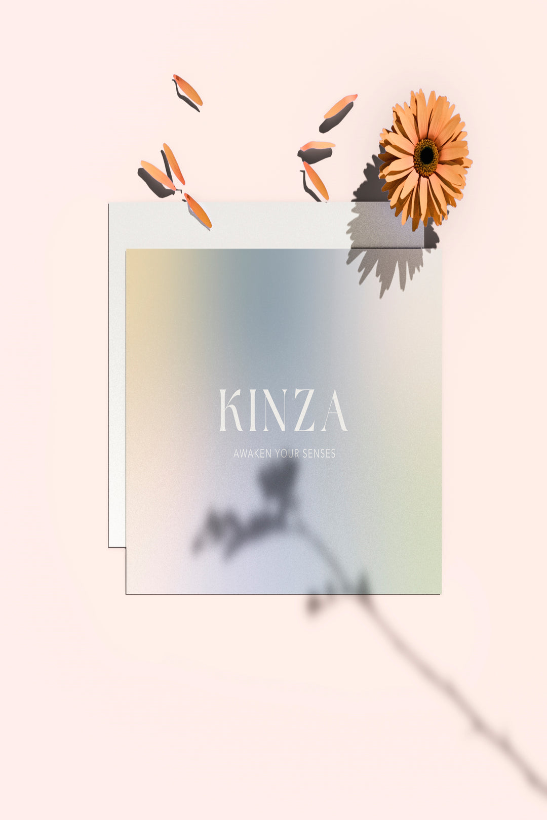 Kinza E-Gift Card